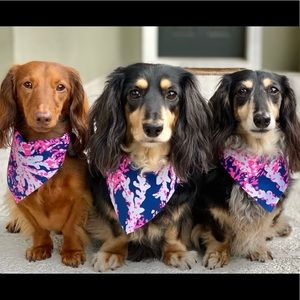 Meet your Posher, Kristine